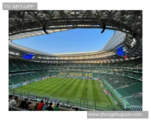 从绿茵场到政坛足球巨星转身投身公共事务的新篇章